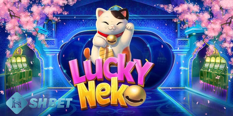 mèo phú quý mèo phú quý