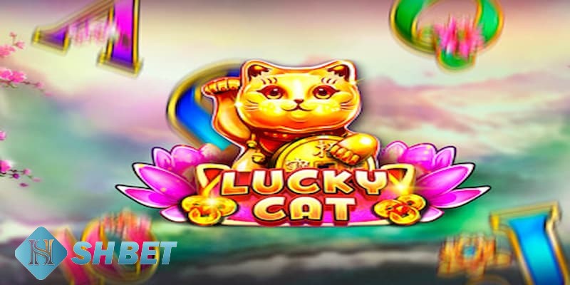 mèo phú quý mèo phú quý