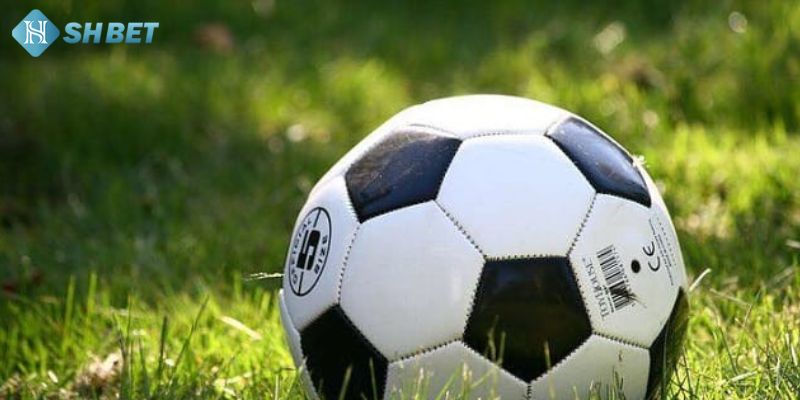 Tìm kiếm thông tin trận đấu