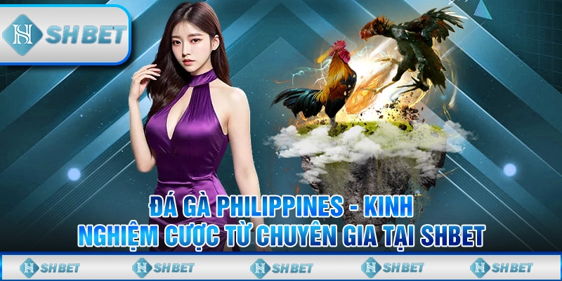 Đá gà Philippines
