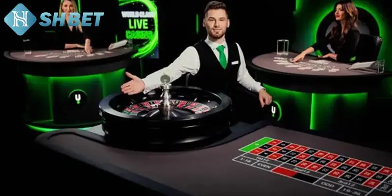 Lý do nên cá cược tại live casino SHBET 