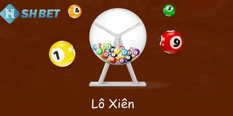 Người chơi cần để ý vài thông tin trong quá trình cược