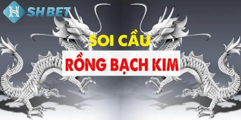 Rồng Bạch Kim SHBET là gì