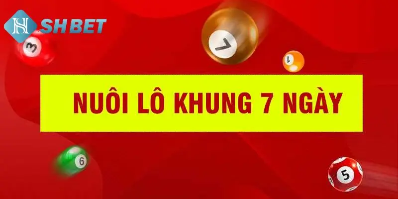 Tổng hợp vài mẹo soi cầu lô 7 ngày