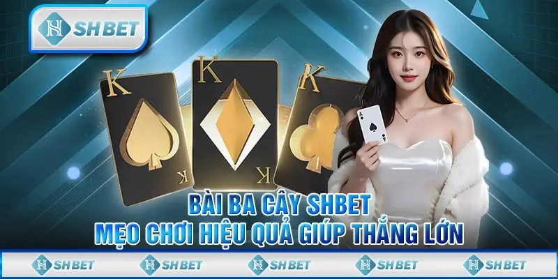 Bài Ba Cây SHBET - Mẹo Chơi Hiệu Quả Giúp Thắng Lớn