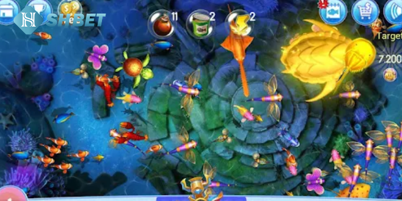 Cùng săn cá và nhận quà tại nhà cái