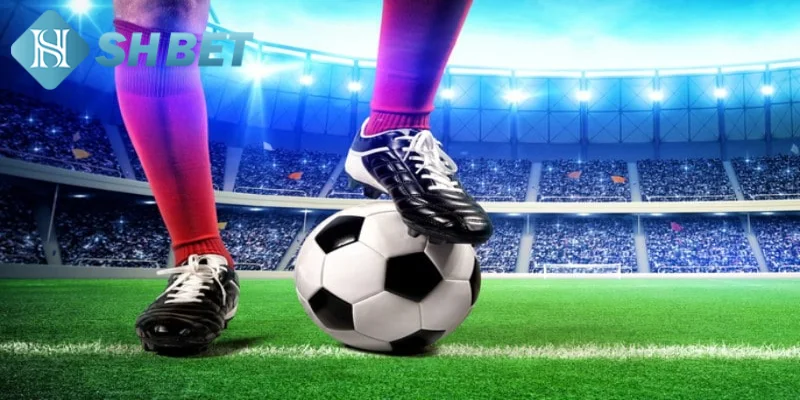 Các loại kèo thể thao kèo châu Âu vẫn rất hấp dẫn