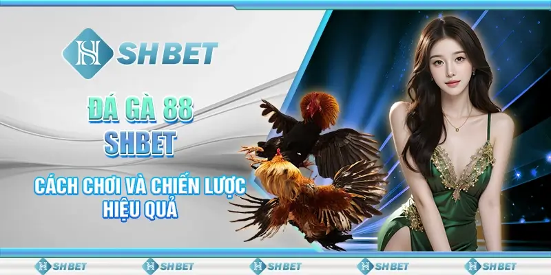 Đá Gà 88 SHBET - Cách Chơi Và Chiến Lược Hiệu Quả