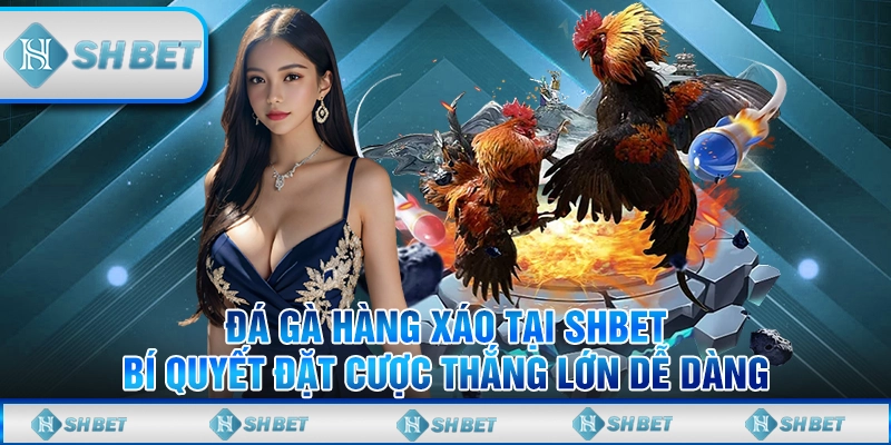 Đá gà hàng xáo