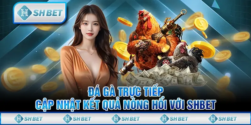 Đá Gà Trực Tiếp - Cập Nhật Kết Quả Nóng Hổi Với SHBET