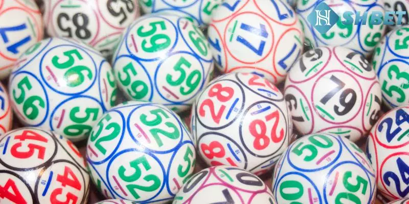 Nuôi bộ 01 và lưu ý