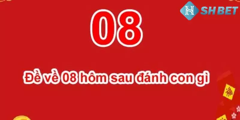 SHBET giới thiệu đề về 08