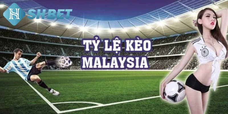 Việc hiểu cách đọc tỷ lệ kèo Malaysia là vô cùng quan trọng