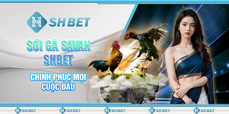 Sới Gà Savan SHBET - Chinh Phục Mọi Cuộc Đấu