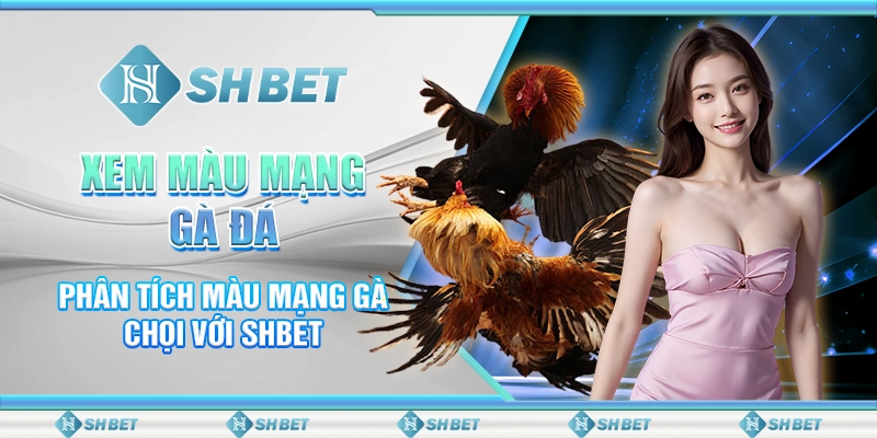 Xem Màu Mạng Gà Đá - Phân Tích Màu Mạng Gà Chọi Với SHBET