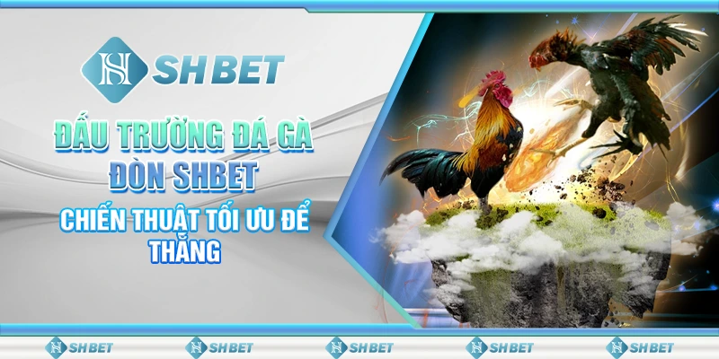 Đấu Trường Đá Gà Đòn SHBET - Chiến Thuật Tối Ưu Để Thắng