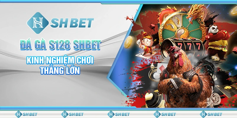Đá Gà S128 SHBET - Kinh Nghiệm Chơi Thắng Lớn