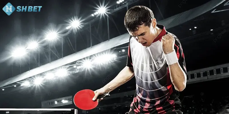 3 Tiêu chí đánh giá địa chỉ cá cược bóng bàn 