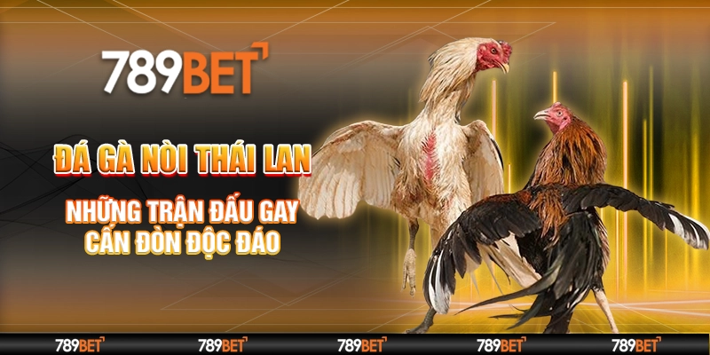 đá gà nòi Thái Lan