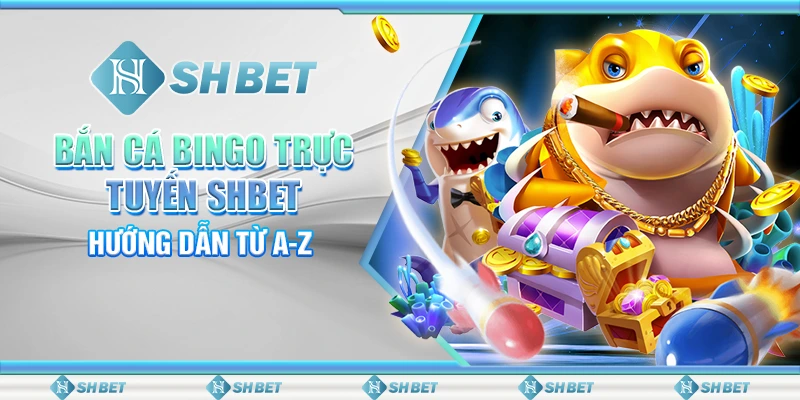 Bắn Cá Bingo Trực Tuyến SHBET - Hướng Dẫn Từ A-Z