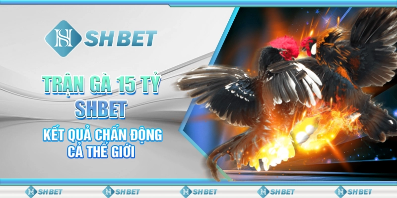 Trận Gà 15 Tỷ SHBET - Kết Quả Chấn Động Cả Thế Giới