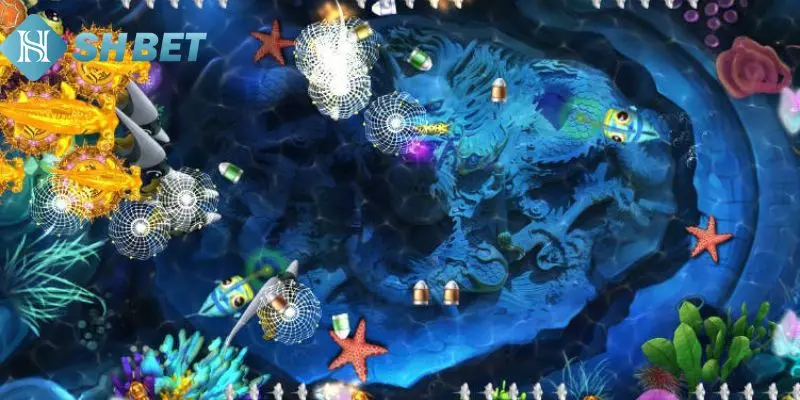 Cách thức săn cá phá hũ