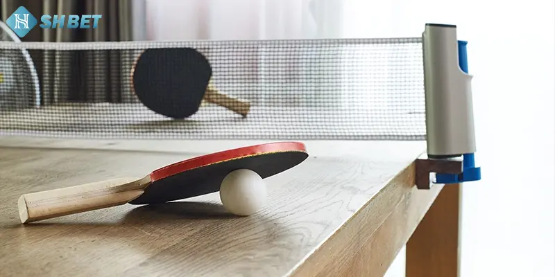 Quy trình bắt đầu cược bóng bàn