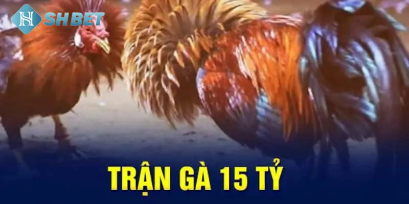 Điểm nổi bật khi theo dõi quá trình thi đấu