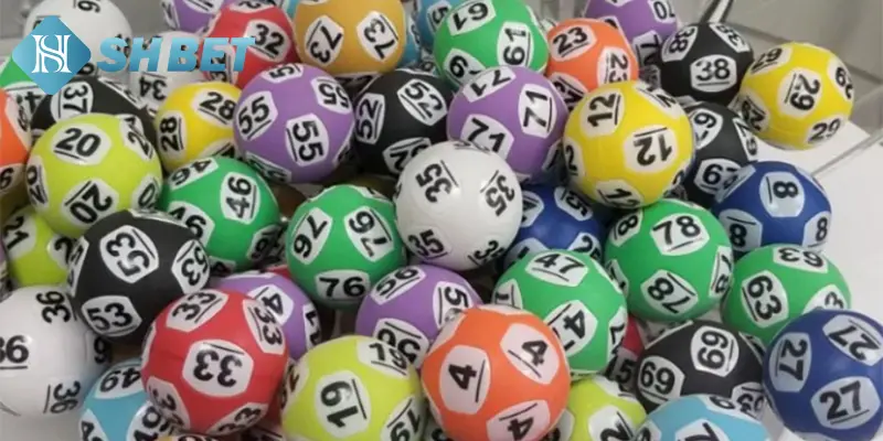 Top mẹo nuôi dàn đề khung 5 ngày