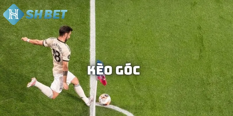 Tỷ lệ trả thưởng trong cược phạt góc bao nhiêu?