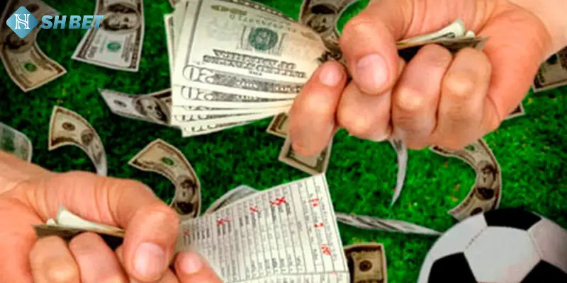 Vì sao nên chọn chơi bóng bàn online?