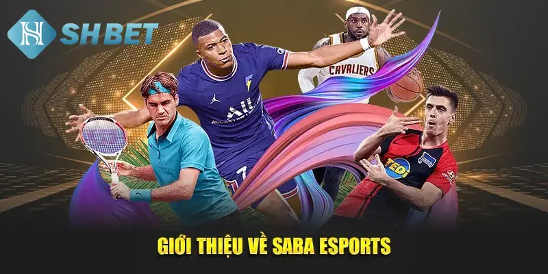 Bật mí thao tác đơn giản để cược SABA eSports
