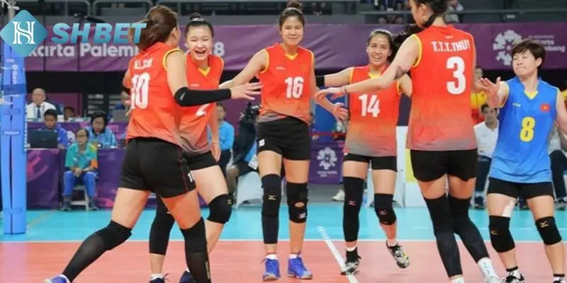 Bí kíp soi kèo bóng chuyền cơ bản 