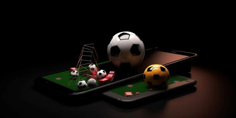 tong-quan-ve-loai-hinh-ca-cuoc