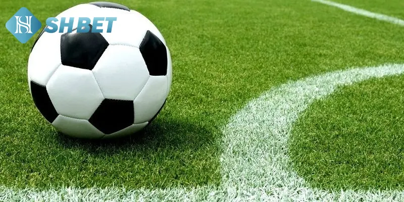 Chiến thuật để đọc kèo cược châu Á