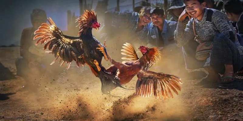 Vinh danh anh em kê thủ