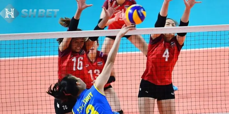 Thể loại kèo cược trong bóng chuyền 