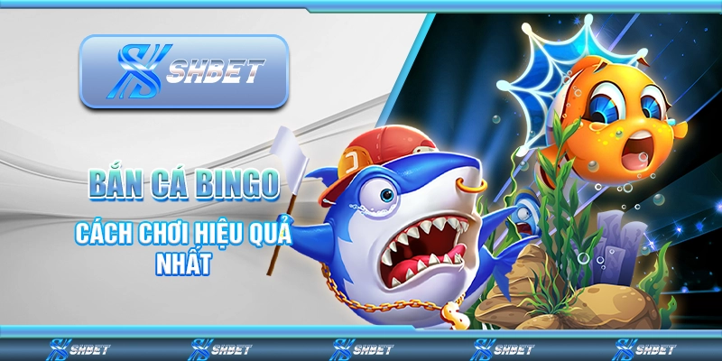 Bắn Cá Bingo - Cách Chơi Hiệu Quả Nhất Tại SHBET