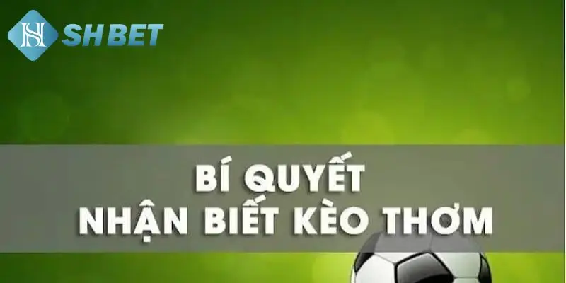 Cách đọc cược thơm cùng cao thủ 