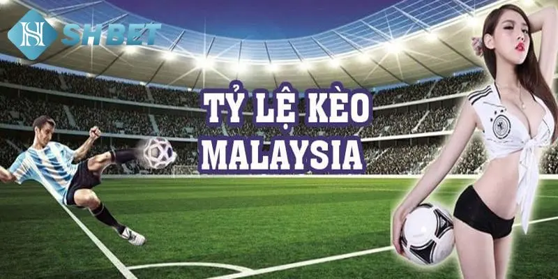 Đặt cược kèo Malaysia có nên hay không?