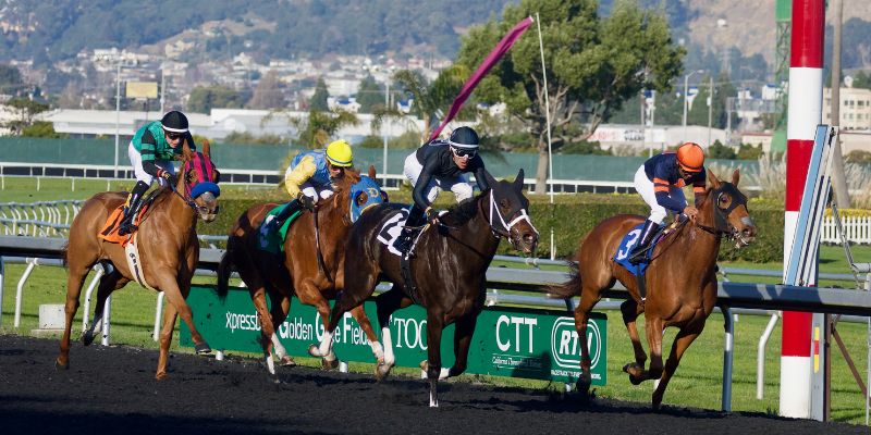 Vài nét về mẹo thắng đua ngựa chuẩn chỉ