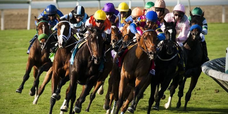 Cá cược đua ngựa ảo là bộ môn hấp dẫn