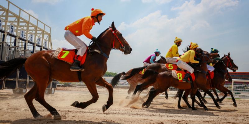 Bật mí mẹo thắng đua ngựa chuẩn nhất