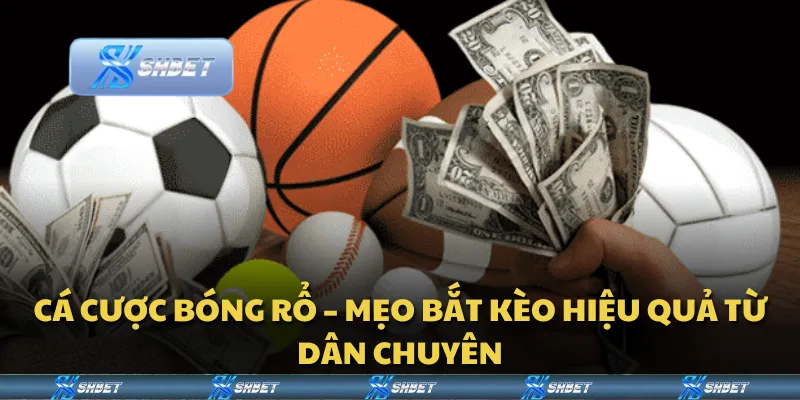 Cá cược bóng rổ – Mẹo bắt kèo hiệu quả từ dân chuyên