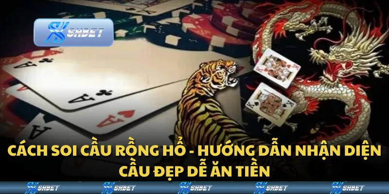 Cách soi cầu Rồng Hổ - Hướng dẫn nhận diện cầu đẹp dễ ăn tiền