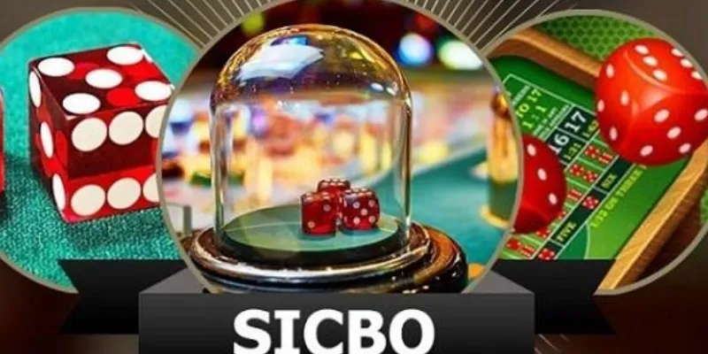 Chiến lược chơi sicbo giúp tăng tỷ lệ thắng
