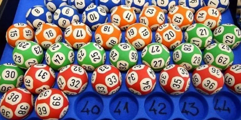 Bí quyết tối ưu dàn đề nuôi 2 ngày hiệu quả