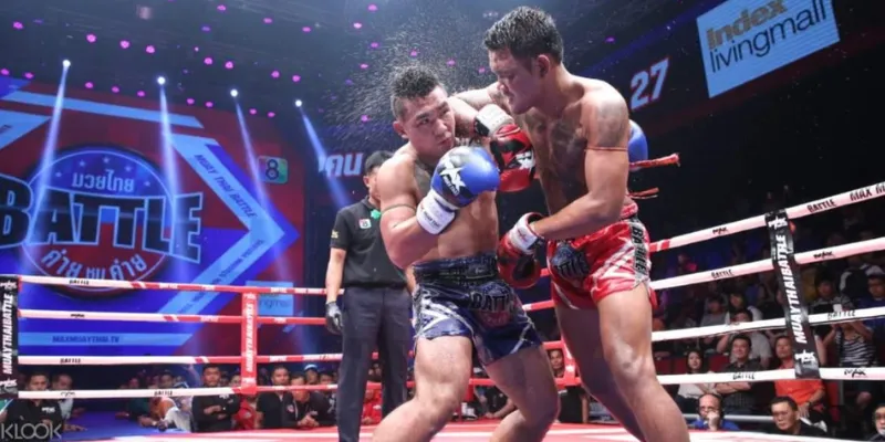 Quy tắc đặt cược boxing cơ bản dành cho người mới