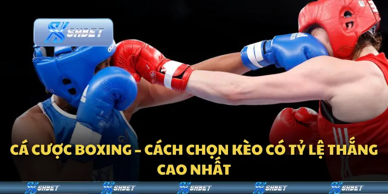 Cá cược boxing – Cách chọn kèo có tỷ lệ thắng cao nhất