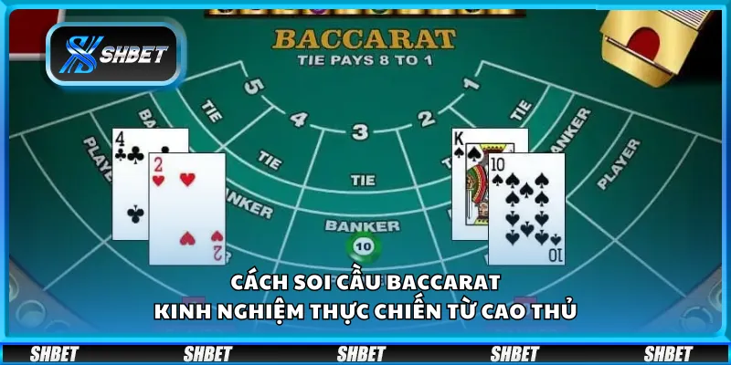 Cách soi cầu baccarat – Kinh nghiệm thực chiến từ cao thủ